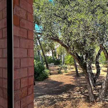 Chateau Pascalette Bed & Breakfast La Londe-les-Maures