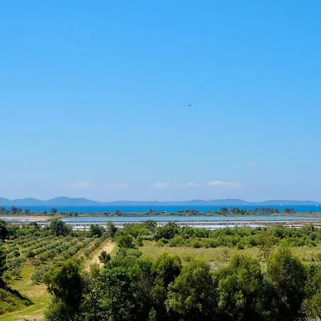 לינה וארוחת בוקר Chateau Pascalette